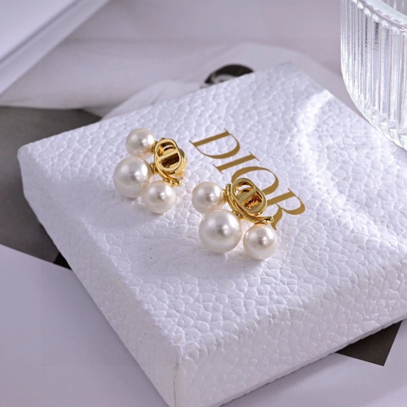 Christian Dxxr Earrings Stylish 294214