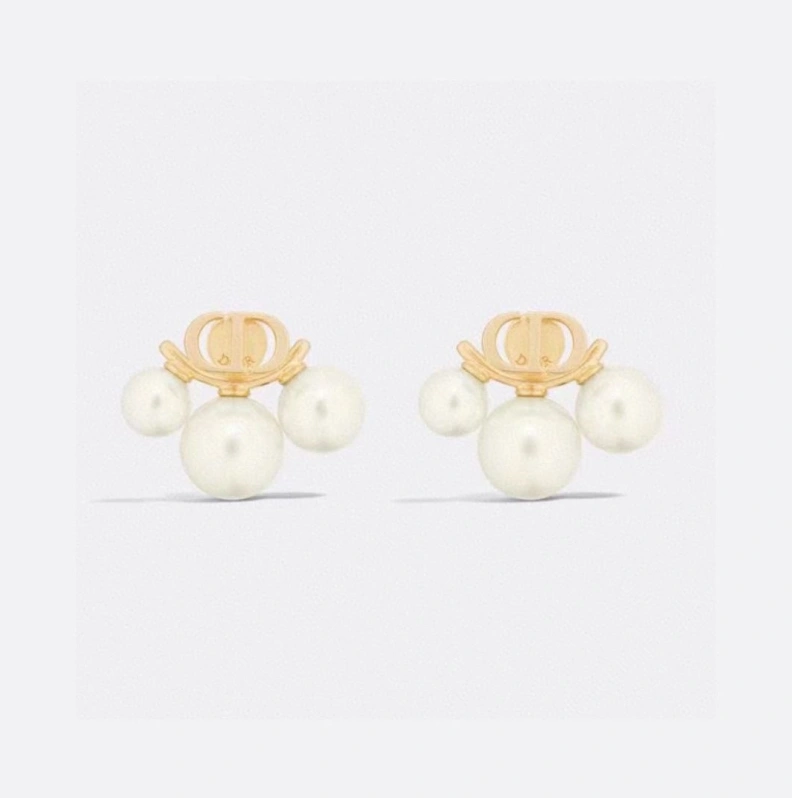 Christian Dxxr Earrings Stylish 294214