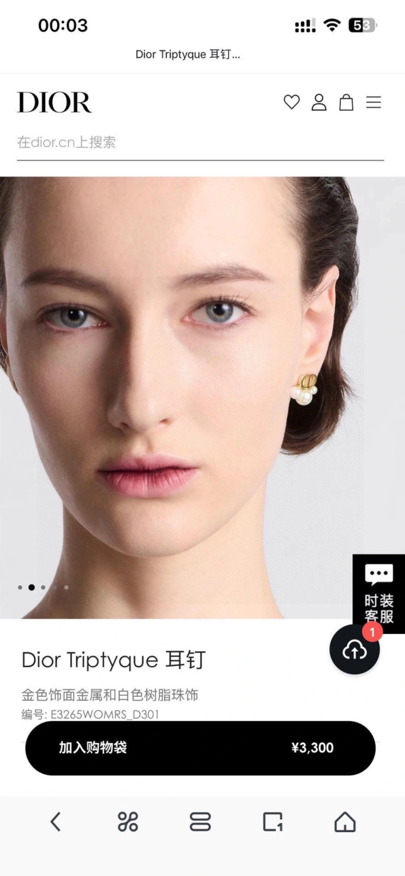 Christian Dxxr Earrings Stylish 294214