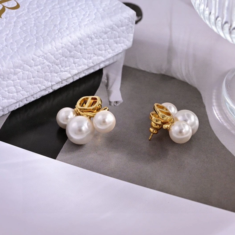 Christian Dxxr Earrings Stylish 294214
