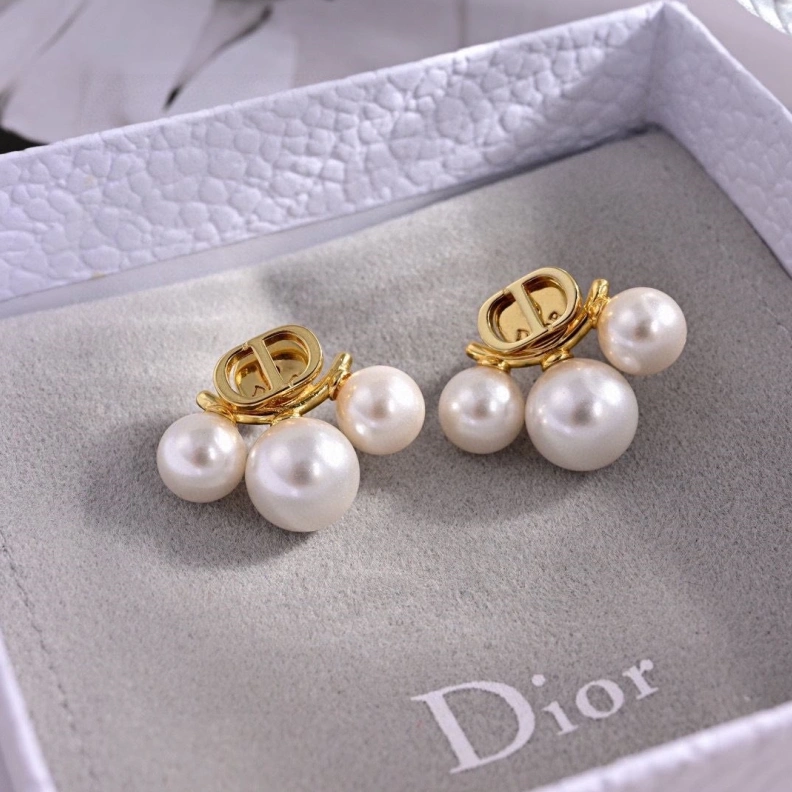 Christian Dxxr Earrings Stylish 294214