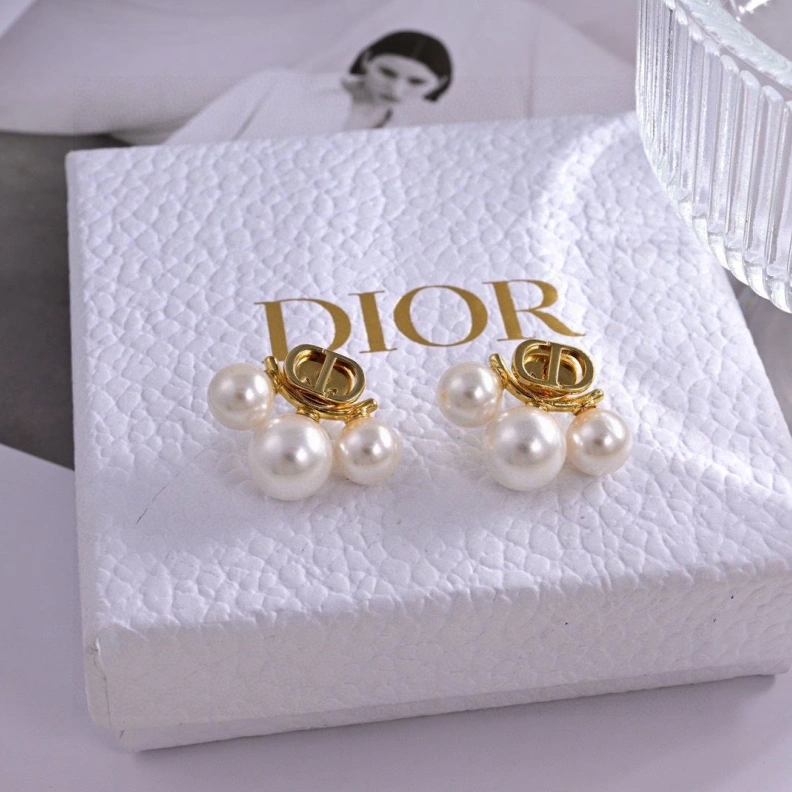 Christian Dxxr Earrings Stylish 294214
