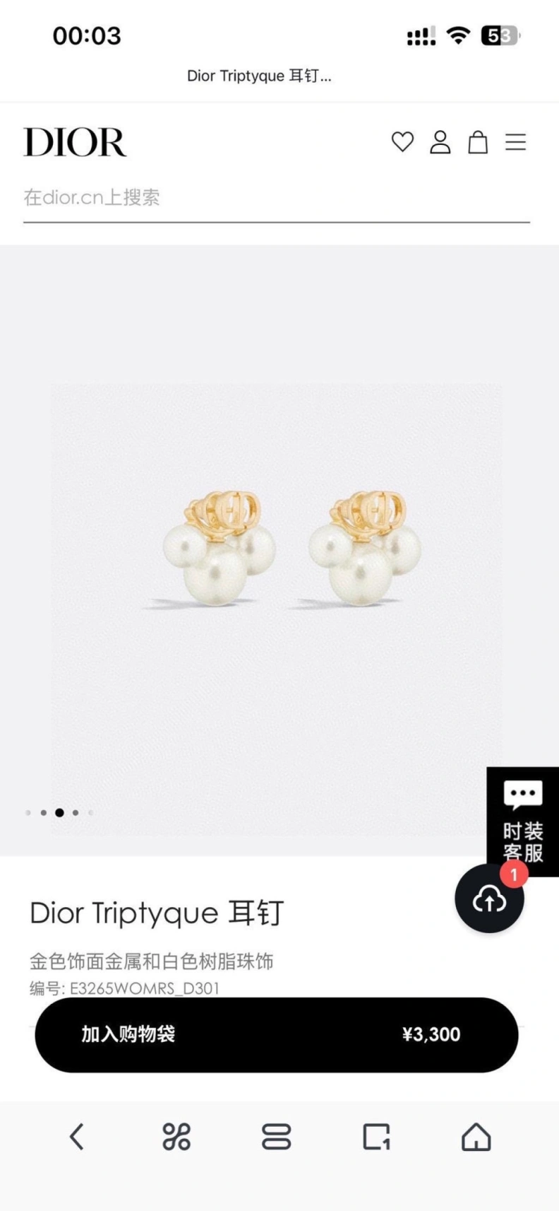 Christian Dxxr Earrings Stylish 294214