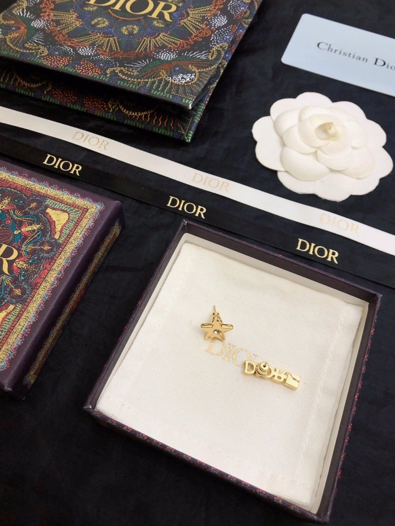 Christian Dxxr Brooches Sleek 294267