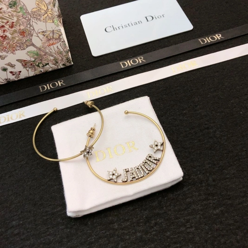 Christian Dxxr Earrings Functional 294203