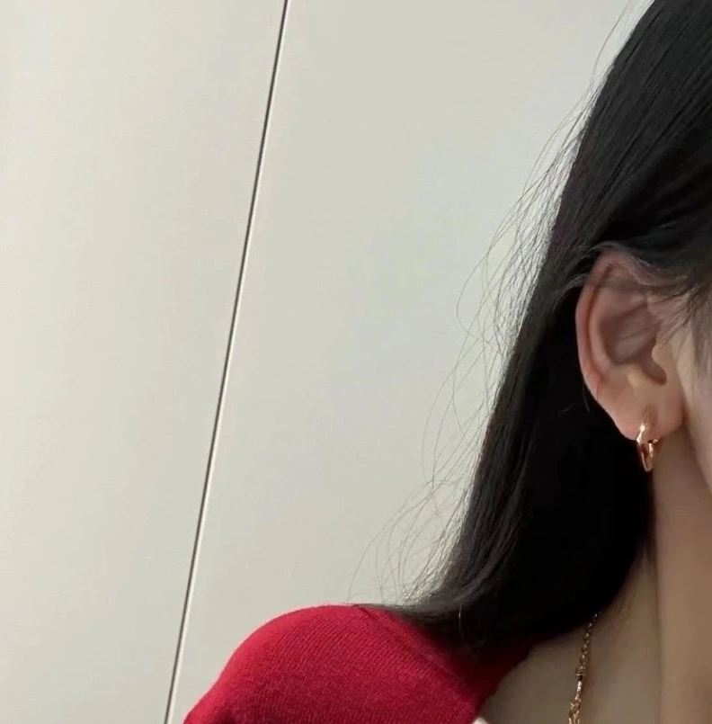 LX Earrings Elegant 309012