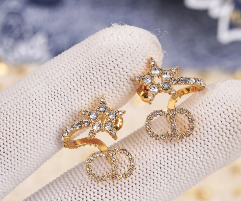 Christian Dxxr Earrings TopPick 294198
