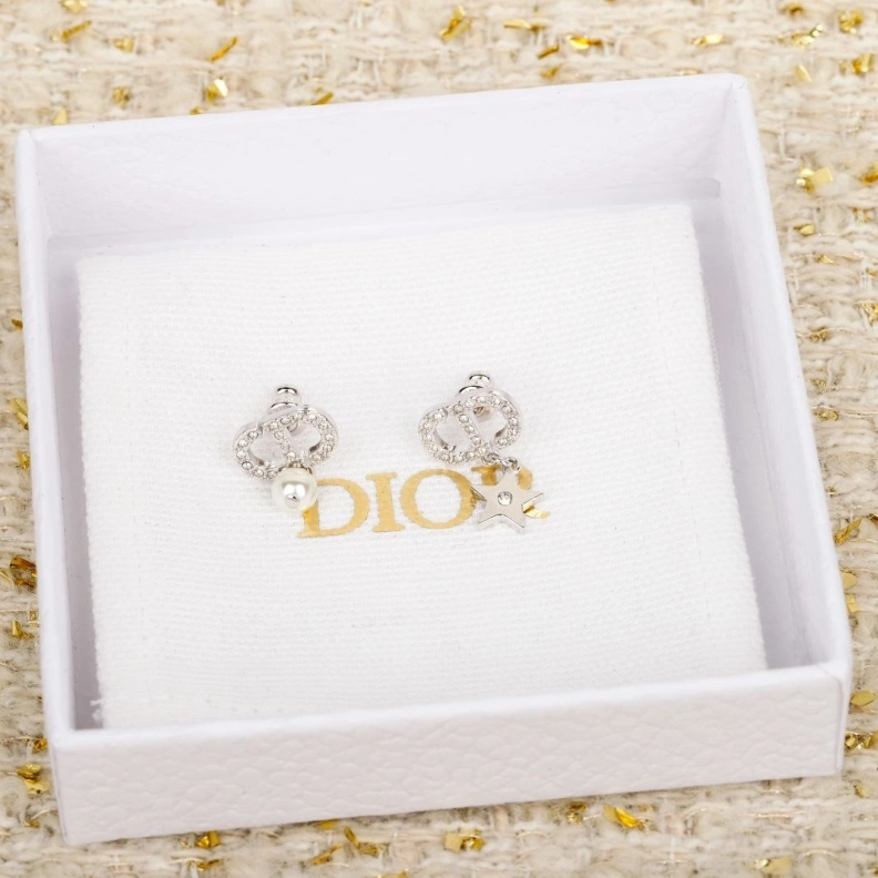 Christian Dxxr Earrings Minimalist 294191