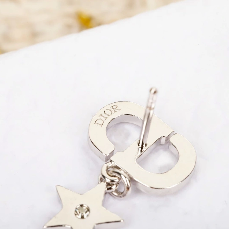 Christian Dxxr Earrings Minimalist 294191