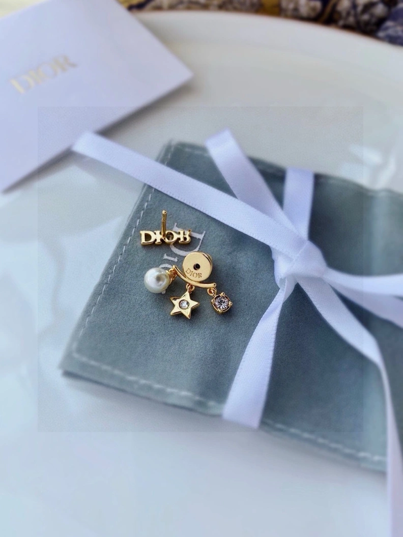 Christian Dxxr Earrings Durable 294209