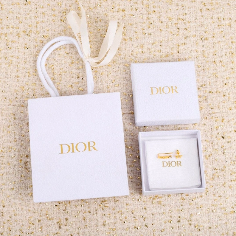 Fashionable Christian Dxxr Earrings 294196