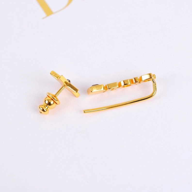 Fashionable Christian Dxxr Earrings 294196