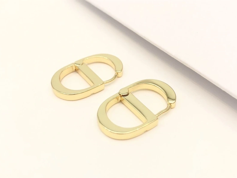 Christian Dxxr Earrings Elegant 294202