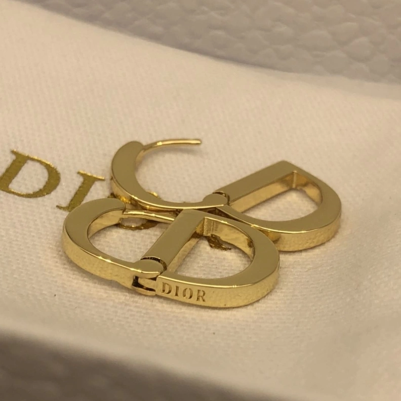 Christian Dxxr Earrings Elegant 294202