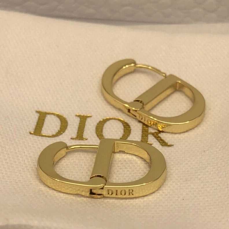 Christian Dxxr Earrings Elegant 294202