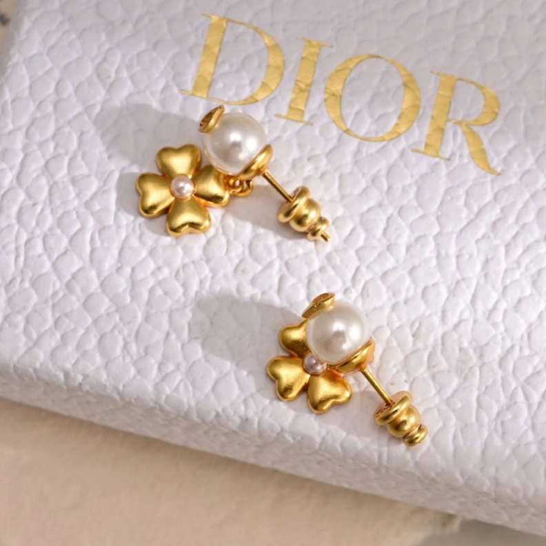Christian Dxxr Earrings DailyWear 294183