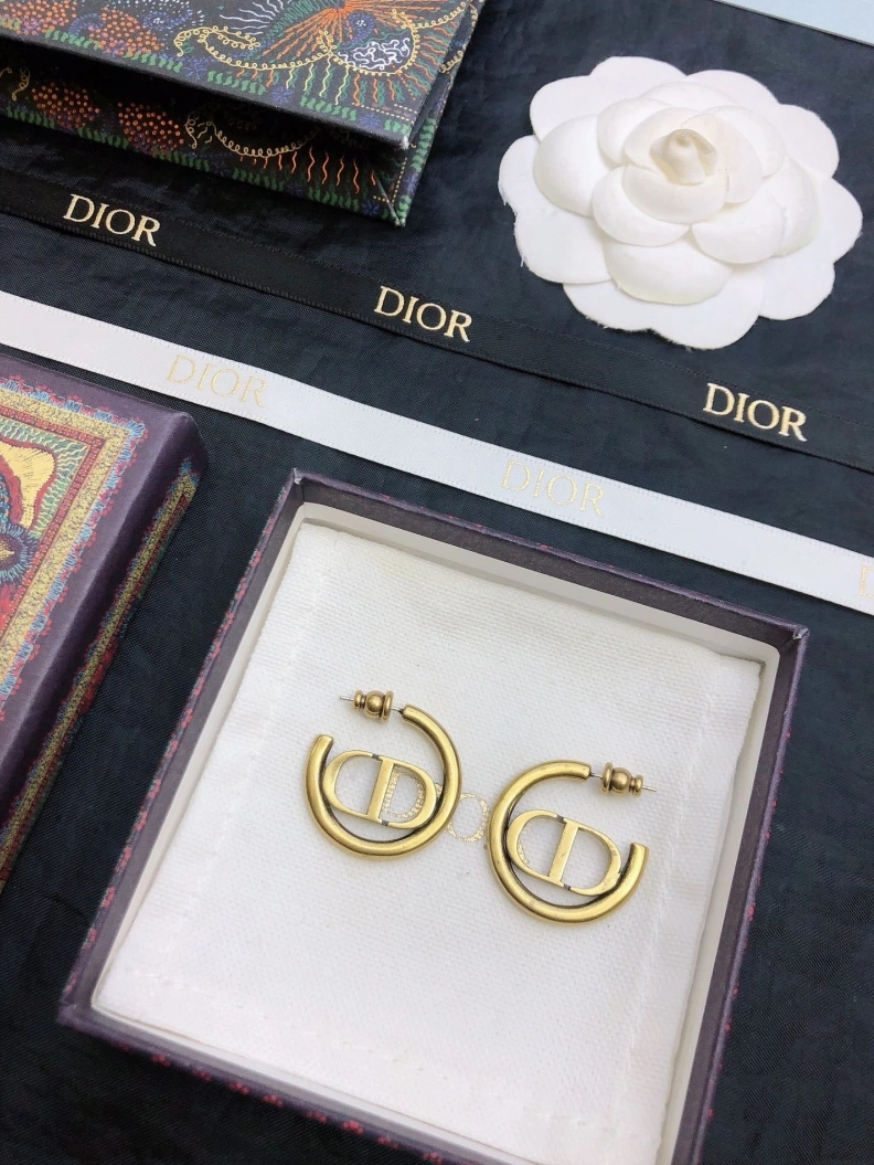 BestValue Christian Dxxr Earrings 294197