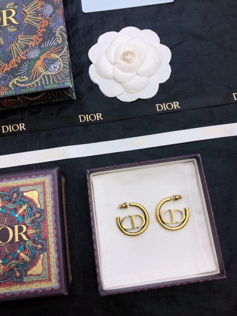 BestValue Christian Dxxr Earrings 294197
