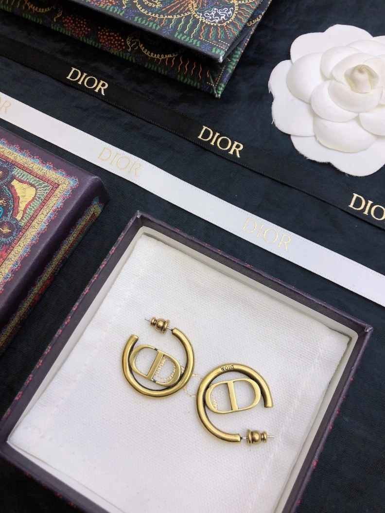 BestValue Christian Dxxr Earrings 294197