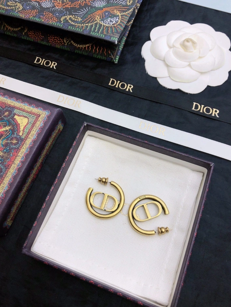 BestValue Christian Dxxr Earrings 294197