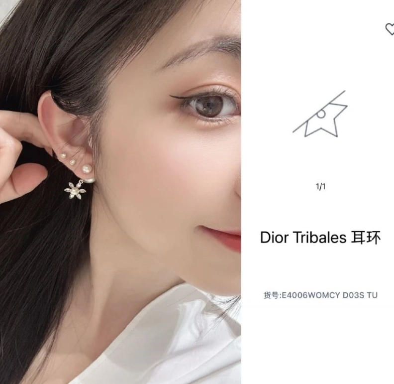 Bold Christian Dxxr Earrings 294179