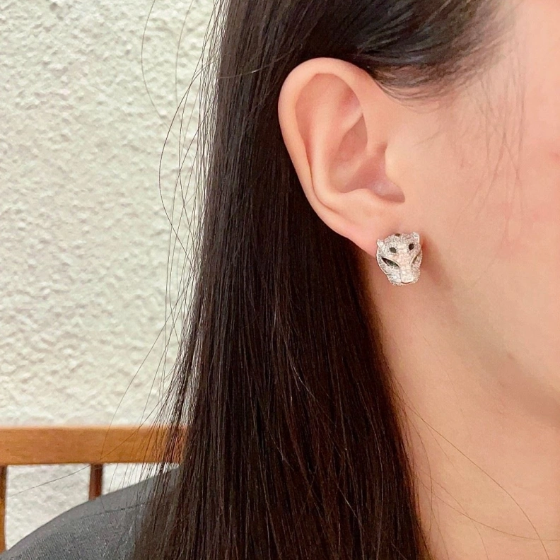 Cxrtxer Earrings WellDesigned 283167