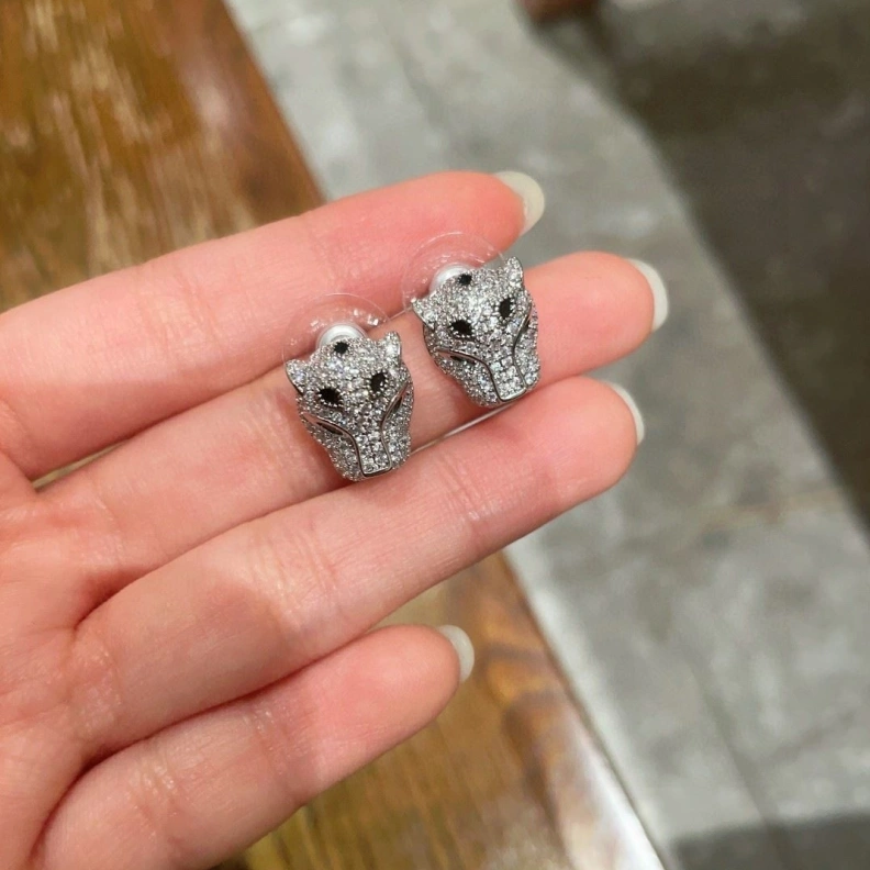 Cxrtxer Earrings WellDesigned 283167