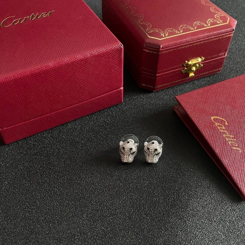 Cxrtxer Earrings WellDesigned 283167