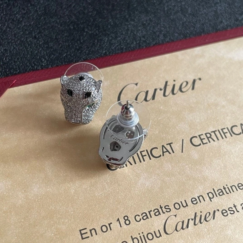 Cxrtxer Earrings WellDesigned 283167