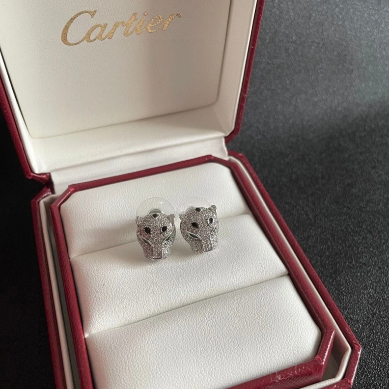 Cxrtxer Earrings WellDesigned 283167