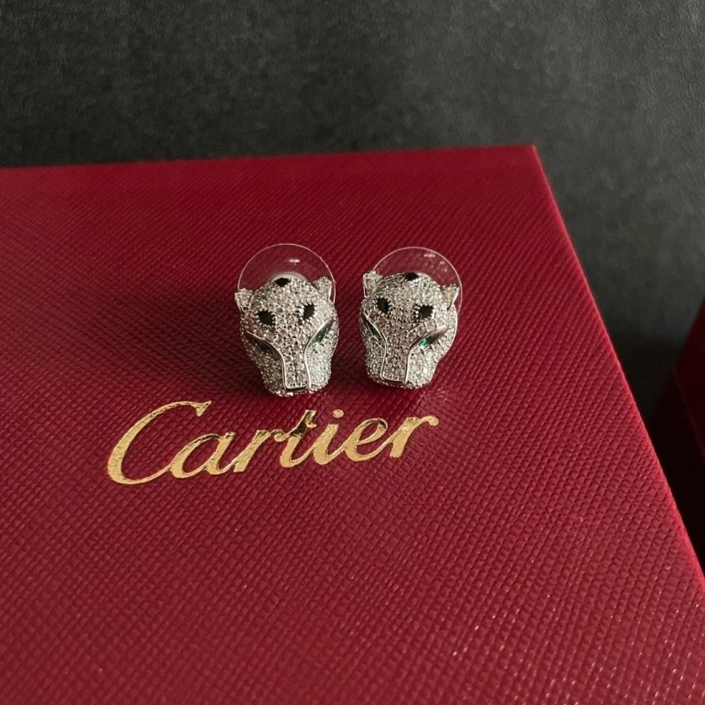 Cxrtxer Earrings WellDesigned 283167