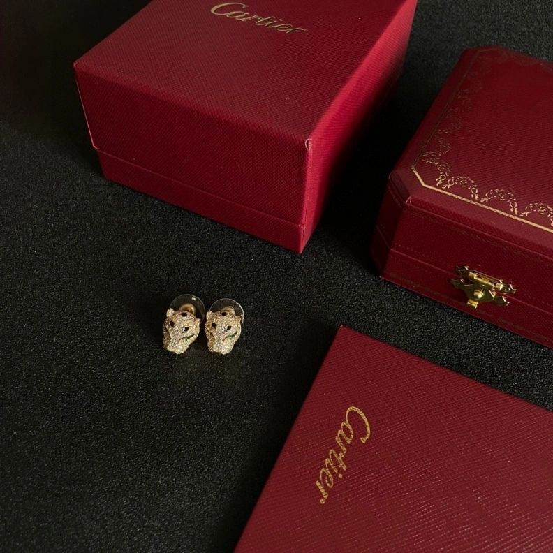 Practical Cxrtxer Earrings 283196
