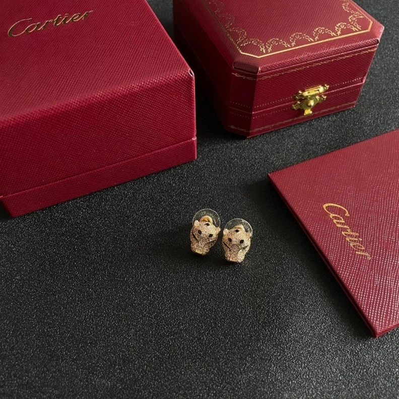 Practical Cxrtxer Earrings 283196