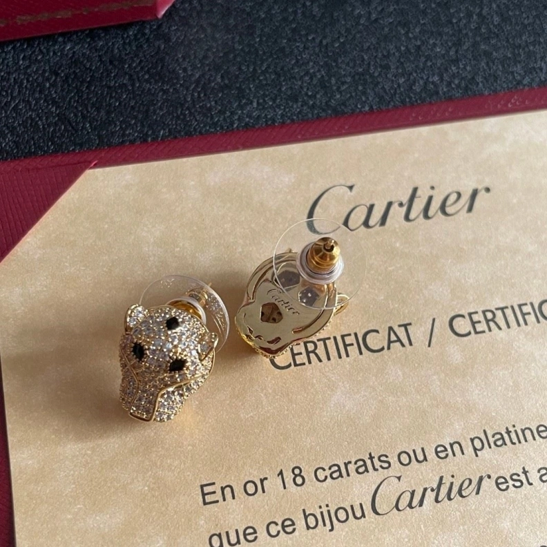 Practical Cxrtxer Earrings 283196