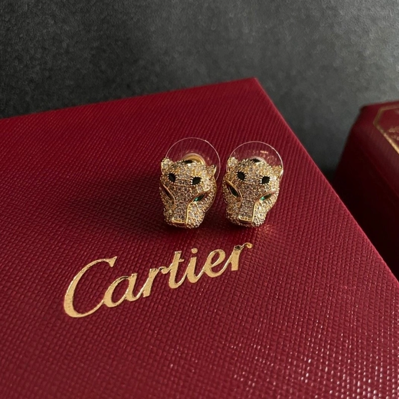 Practical Cxrtxer Earrings 283196