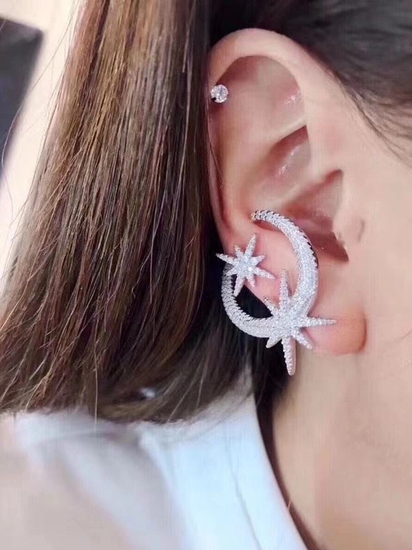 EasyMatch Axm Earrings 281414