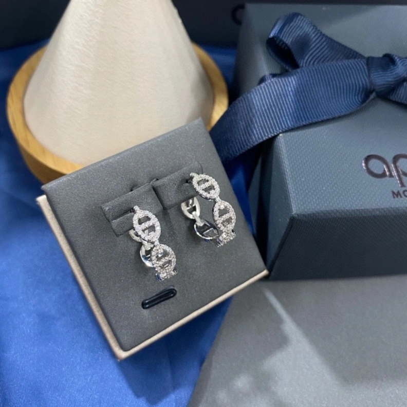 Axm Earrings SmartChoice 281390