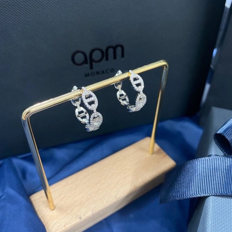 Axm Earrings SmartChoice 281390