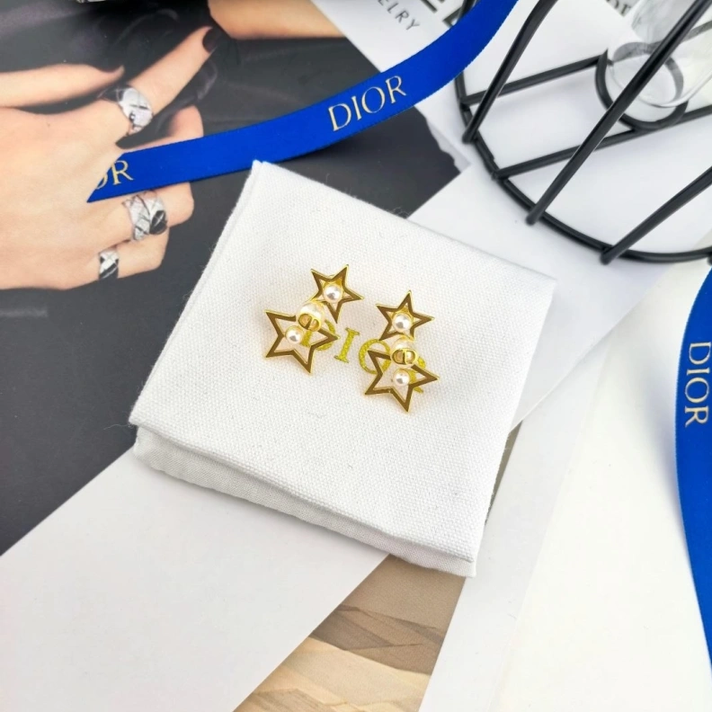 Christian Dxxr Earrings Durable 294174