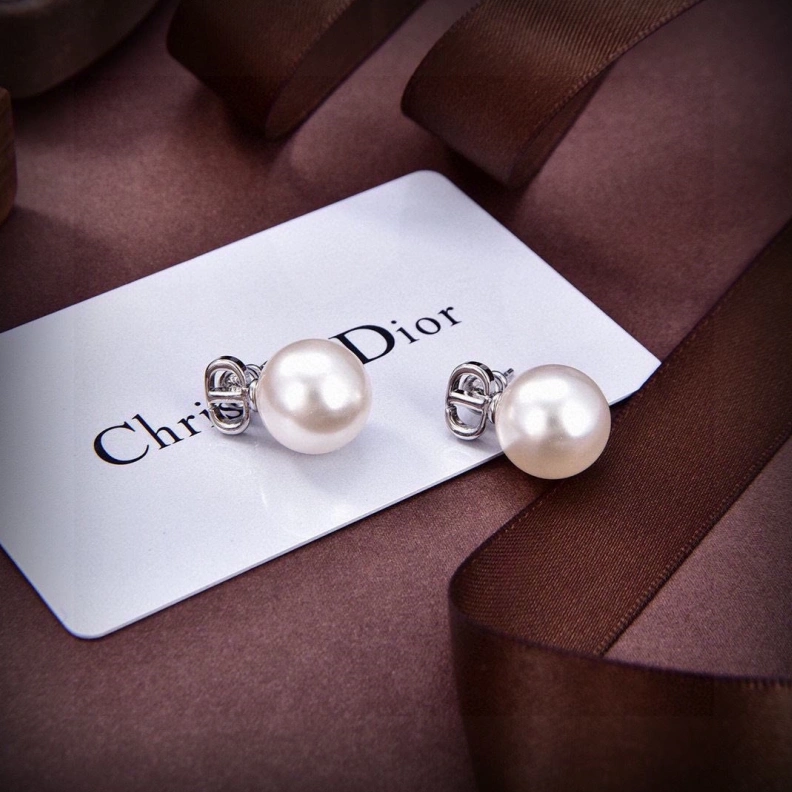 Christian Dxxr Earrings Stylish 294172