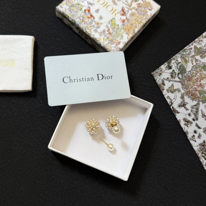 Christian Dxxr Earrings Practical 294168