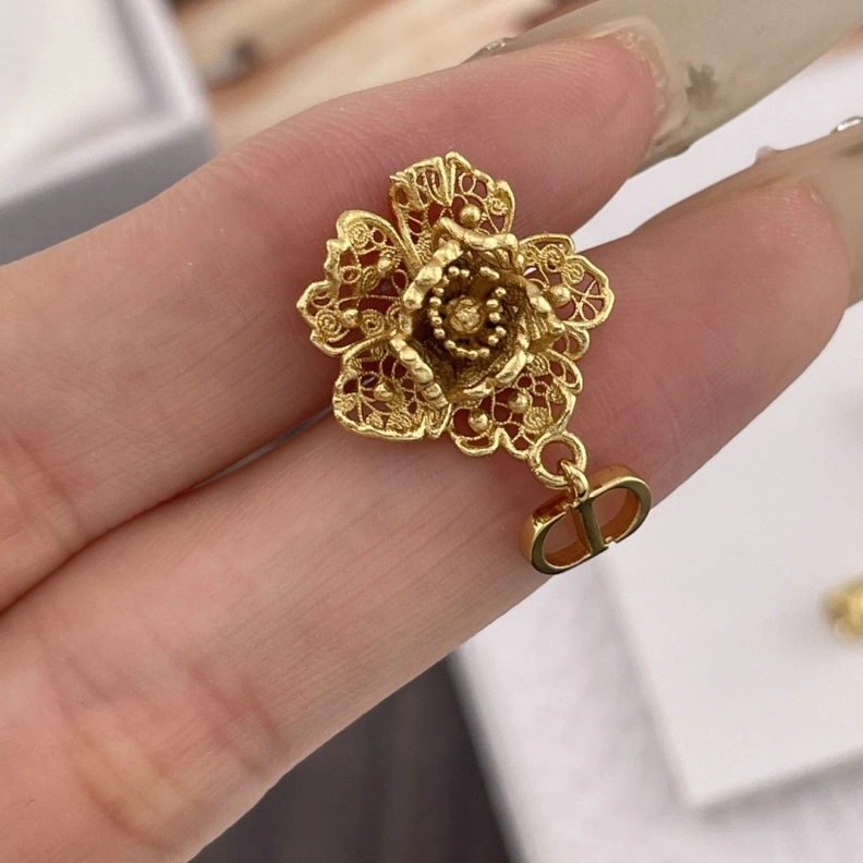 Christian Dxxr Earrings DailyWear 294161