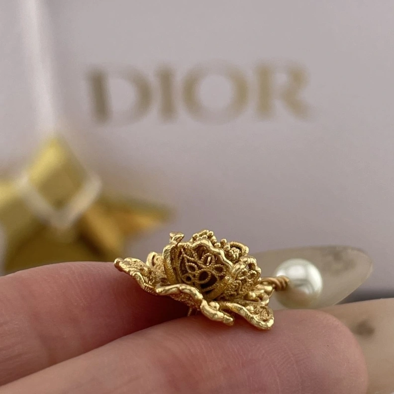 Christian Dxxr Earrings DailyWear 294161