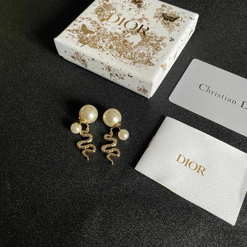 HighQuality Christian Dxxr Earrings 294165