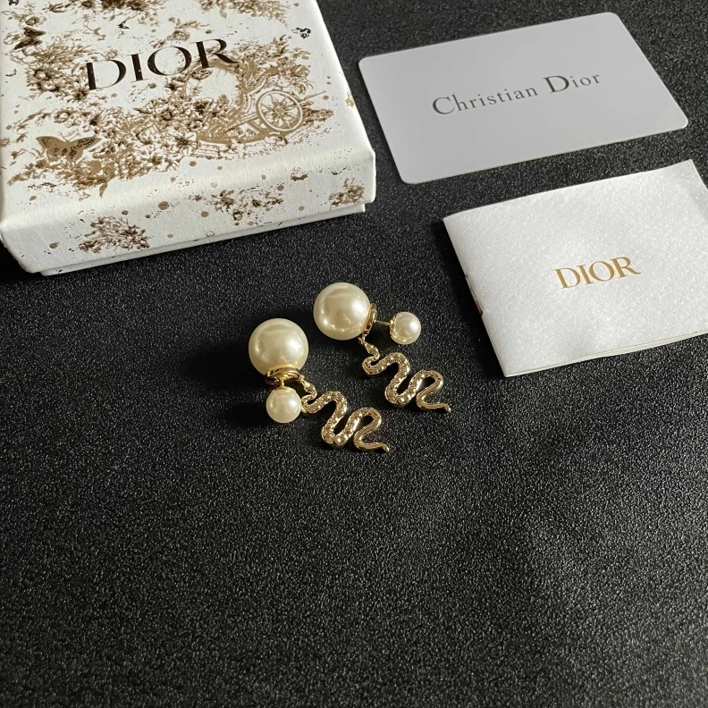 HighQuality Christian Dxxr Earrings 294165