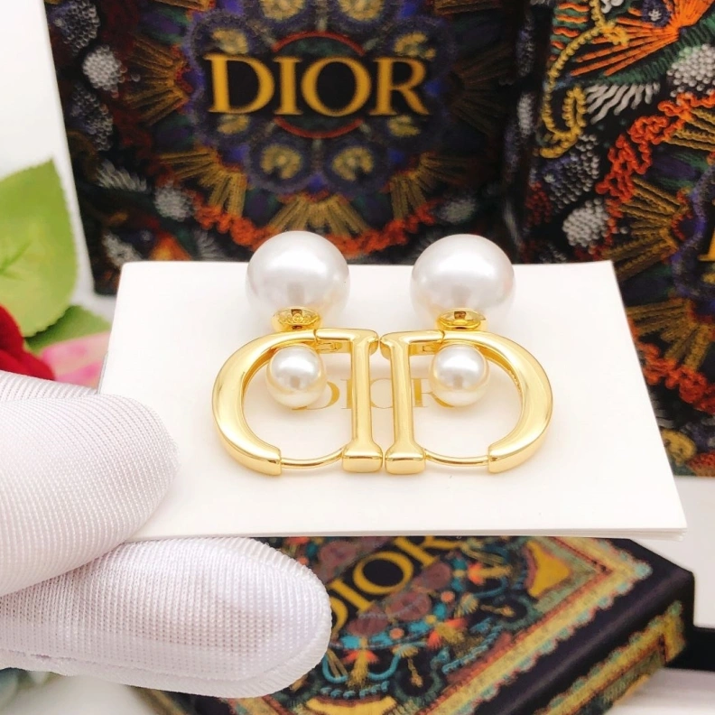 Christian Dxxr Earrings HighQuality 294155