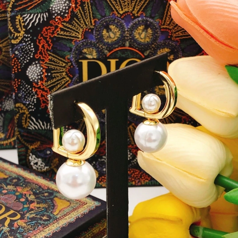 Christian Dxxr Earrings HighQuality 294155