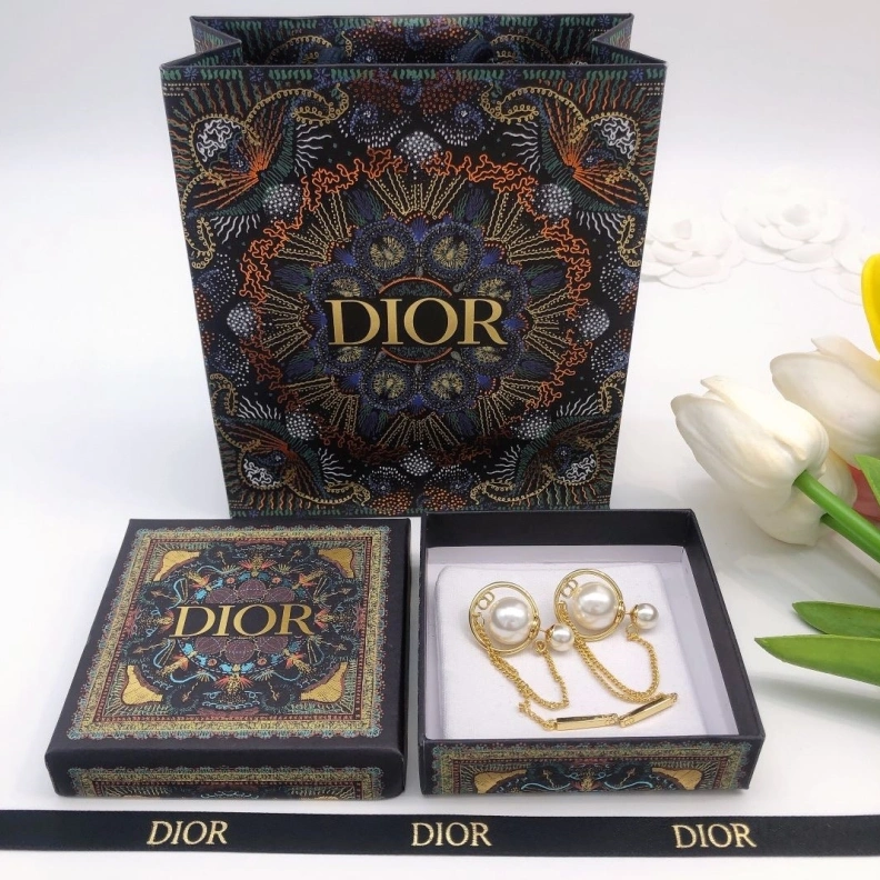 Christian Dxxr Earrings Minimalist 294159