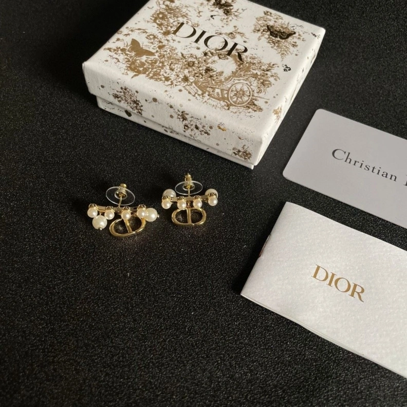 Christian Dxxr Earrings Unique 294151