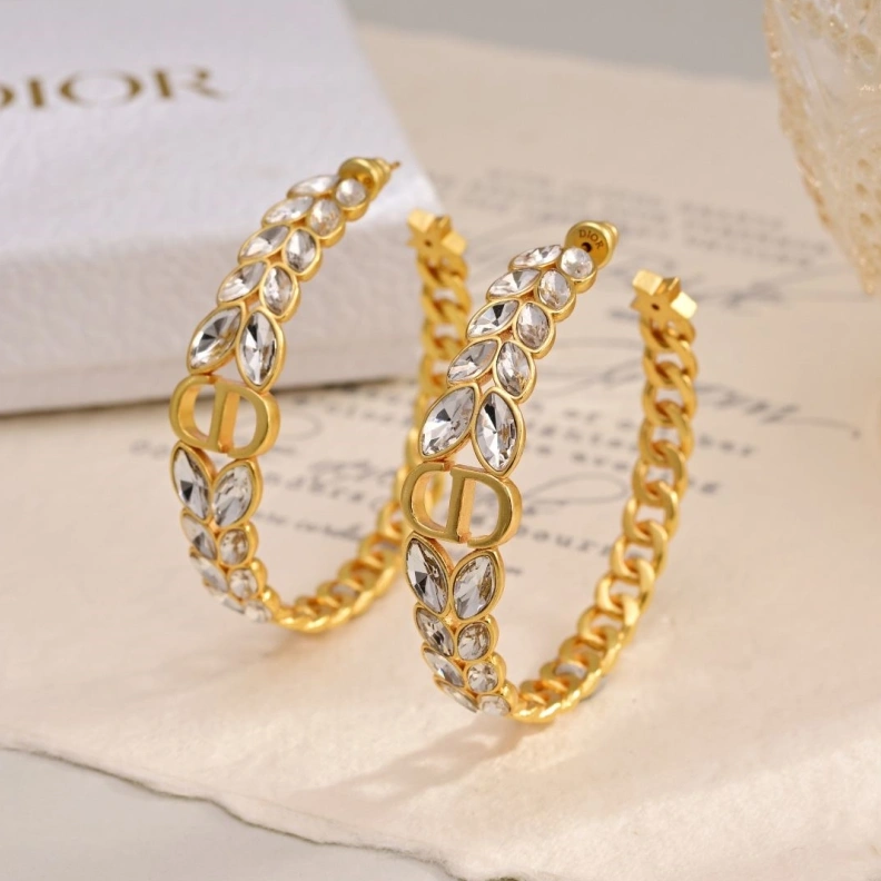 Christian Dxxr Earrings Sleek 294136